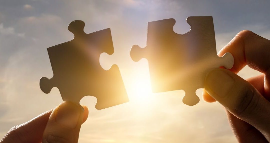 Het ontbrekende puzzelstuk – verborgen narcisme
