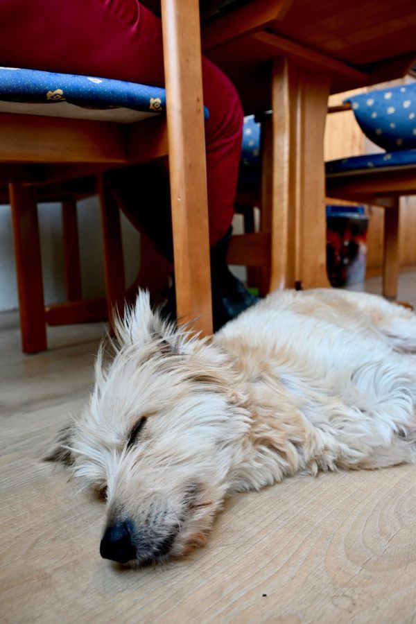 Lucky Nicole Schlösser zittend op de rand van haar tiny house met een kop koffie met een hart erop