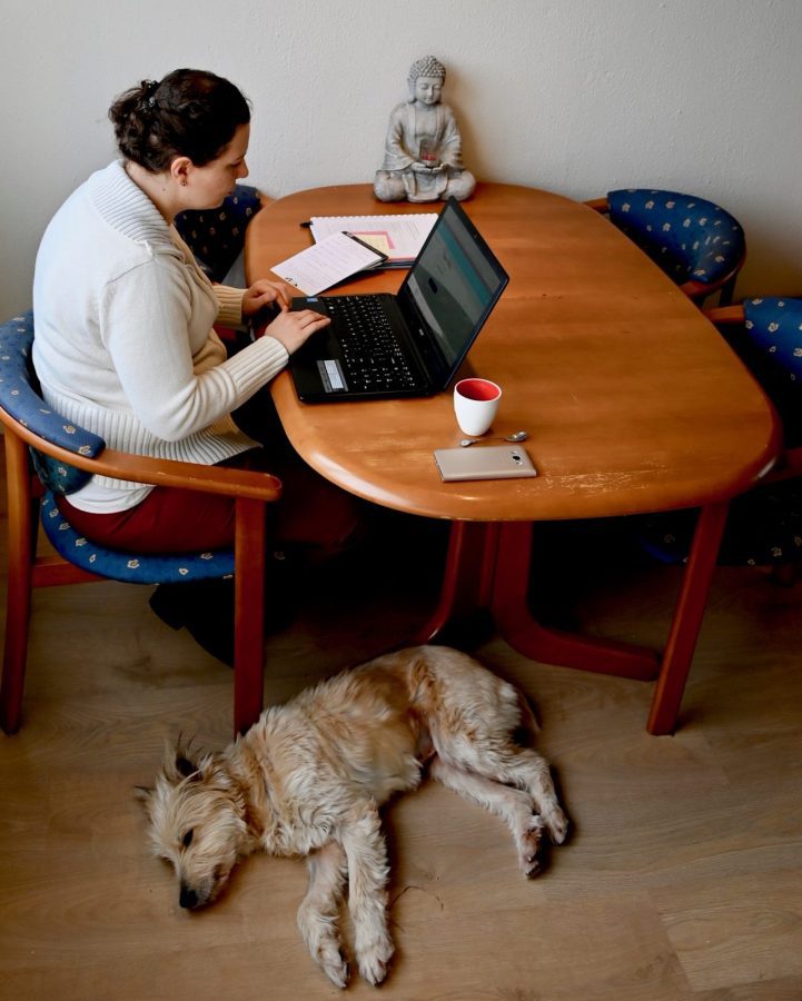 Nicole Schlösser - boek nicole schlosser boek scaled