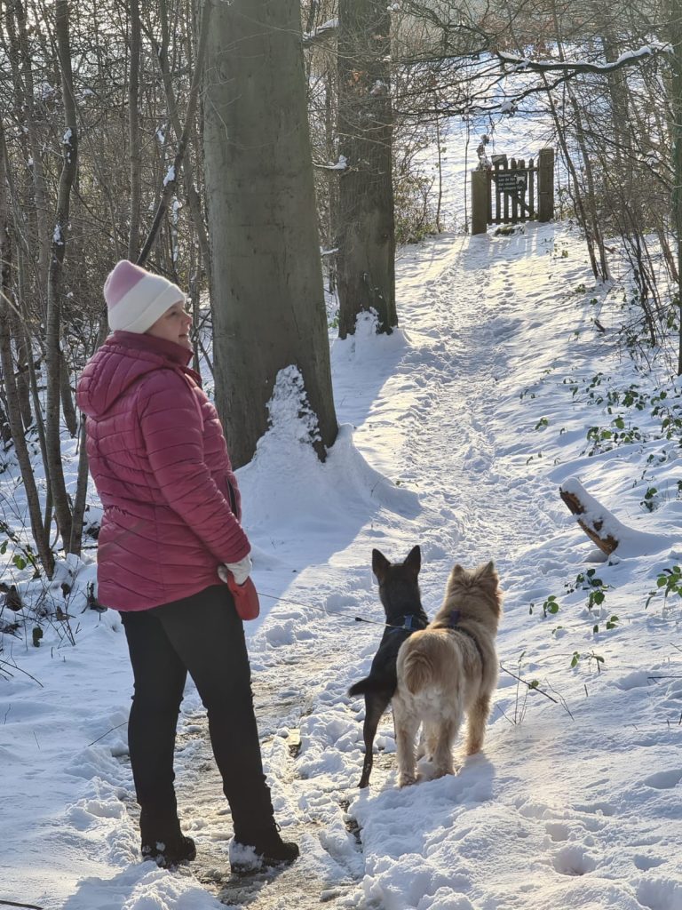 Winterse kerstwandeling met mijn honden, als symbool voor rust, alleen zijn en genieten met Kerst